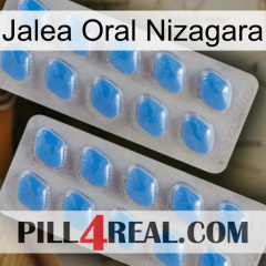 Nizagara Oral Jelly 23